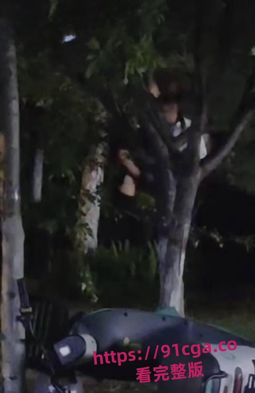 东营55岁老不朽夜市小树林与女激情一分钟速战速决引热议！