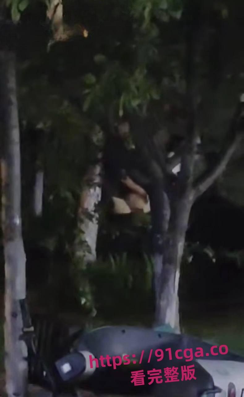 东营55岁老不朽夜市小树林与女激情一分钟速战速决引热议！